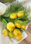 Tulipes de printemps