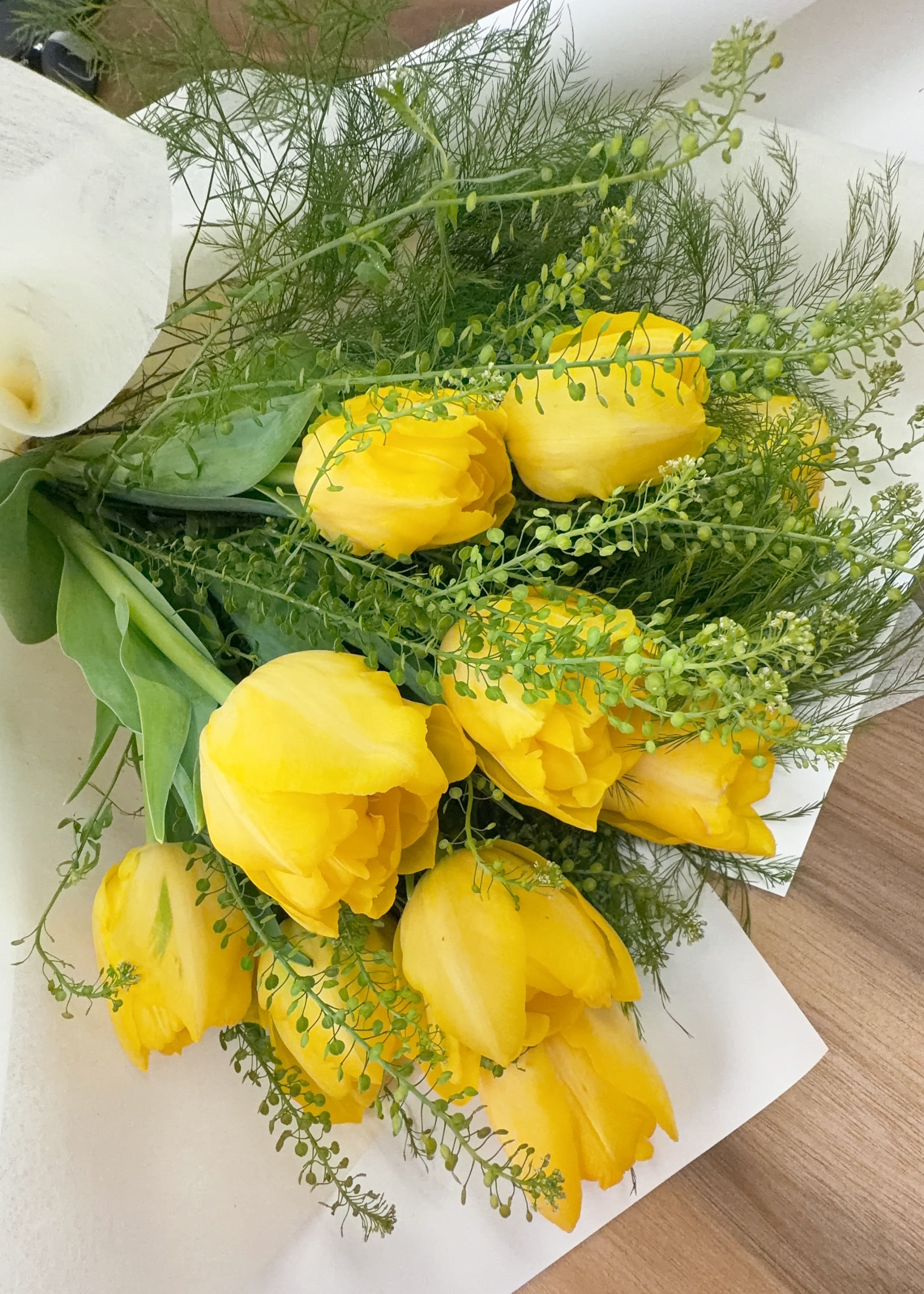 10 Spring Tulips