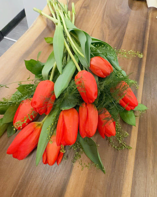 10 Spring Tulips