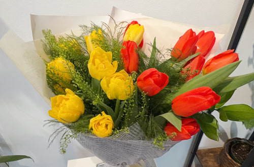 20 Spring Tulips